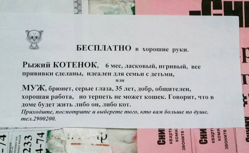 Самые теплые объявления и вывески (15 фото) Самые теплые объявления и вывески (15 фото)