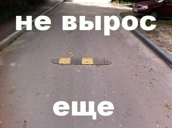 Автоюмор в картинках