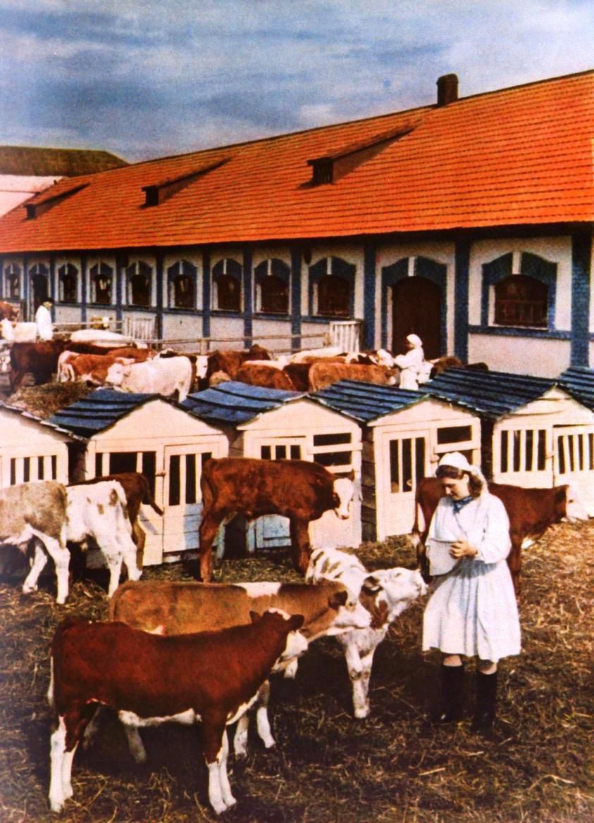 Украина, СССР, Огонёк