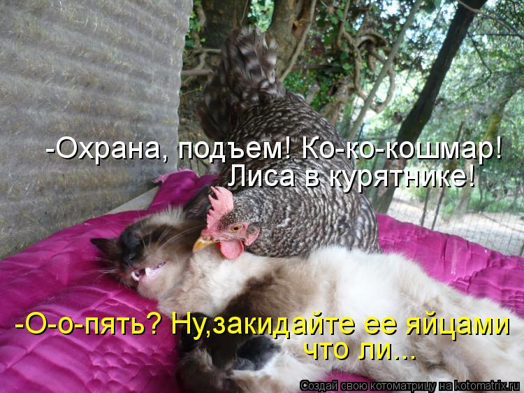 И снова котоматрица!!! И снова котоматрица!!!