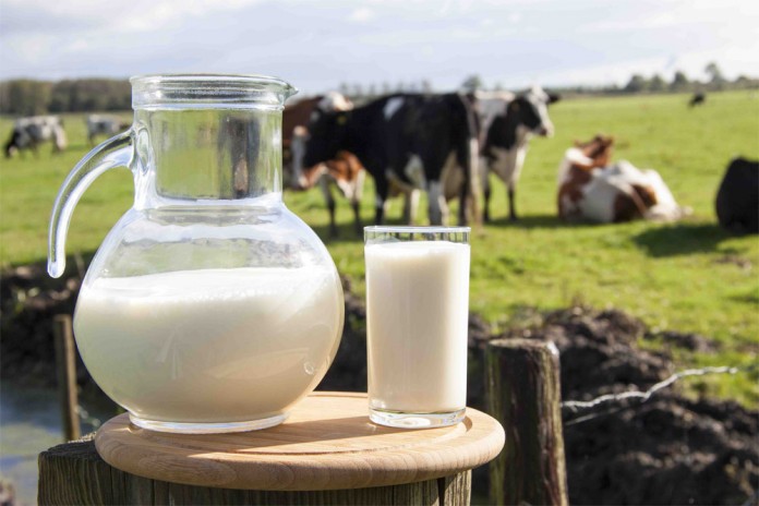 milk