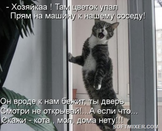 2e6788b542266a95af6429a7eb6_prev 2e6788b542266a95af6429a7eb6_prev