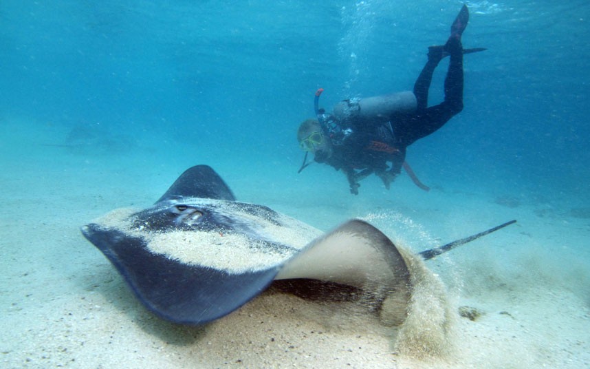 Explore coral reefs 21 Коралловые рифы в фотографиях