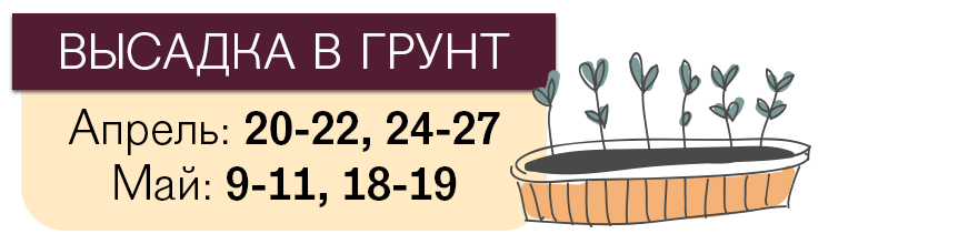Лунный календарь посева помидоров на 2018 год Лунный календарь посева помидоров на 2018 год