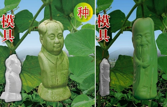 В Китае выращивают дизайнерские овощи и фрукты в форме фигурок известных личностей