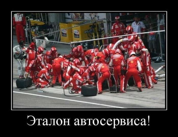 Демотиваторы отличной подборочкой для зарядки позитивом на весь день! Демотиваторы отличной подборочкой для зарядки позитивом на весь день!