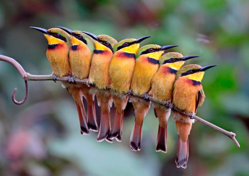 Смешные картинки