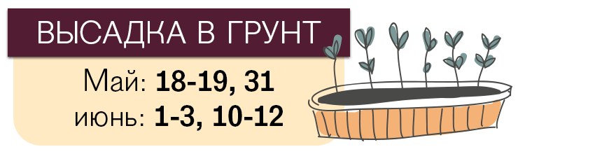 Лунный календарь посева помидоров на 2018 год Лунный календарь посева помидоров на 2018 год