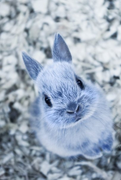 Коллекция позитивных фотографий №12 Коллекция позитивных фотографий №12