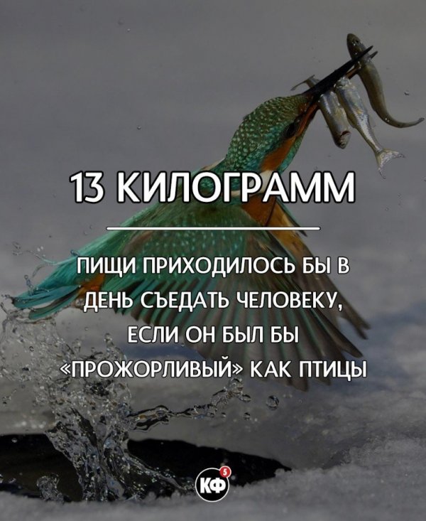 Краткие факты Краткие факты
