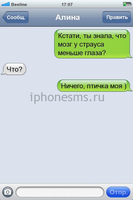 СМС приколы СМС приколы