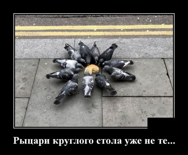 Демотиваторы Демотиваторы