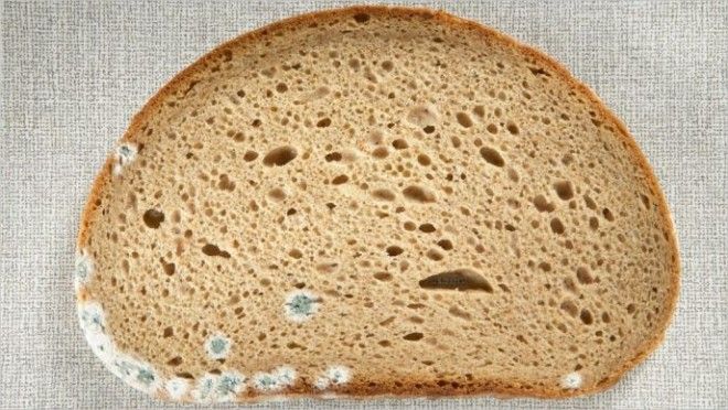 Мастерим красивые поделки из шишек своими руками. Описание Люстра своими руками - Как сделать? Сотни мастер-классов с