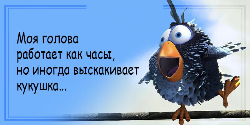 Отпадные шутки для отличного настроения Отпадные шутки для отличного настроения