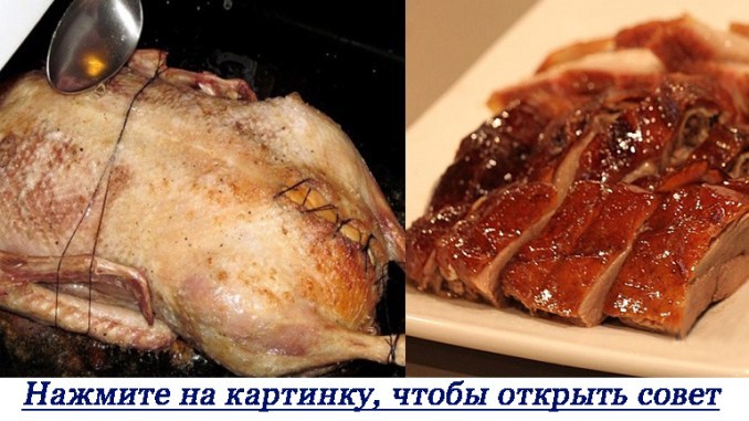 domashnie-tsveti-na-kotorih-net-allergii-foto-2-28