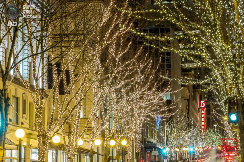 Праздник, Фото, Красиво