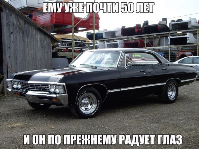 Cмешные картинки с надписями (20 картинок) Cмешные картинки с надписями (20 картинок)