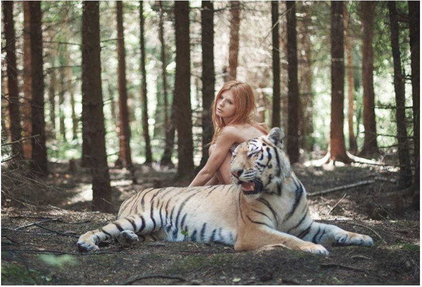 Фотограф Ольга Баранцева снимает портреты с настоящими животными Фотограф Ольга Баранцева снимает портреты с настоящими животными