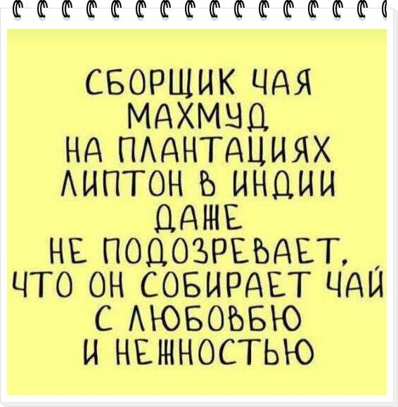 Что такое ни то ни се чекушка на троих. Смотреть фото Что такое ни то ни се чекушка на троих. Смотреть картинку Что такое ни то ни се чекушка на троих. Картинка про Что такое ни то ни се чекушка на троих. Фото Что такое ни то ни се чекушка на троих