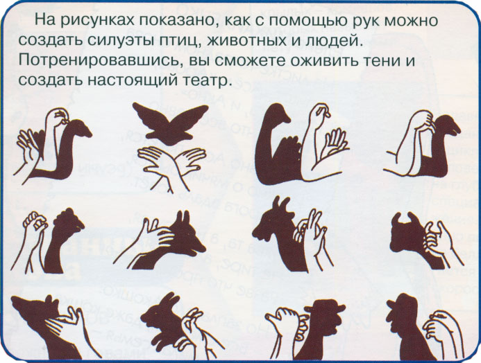 Теневой театр в доу