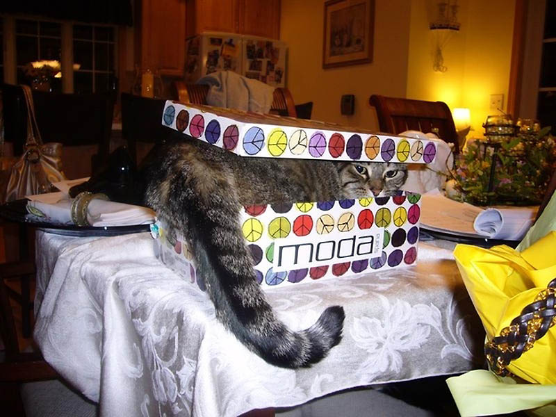 2111         