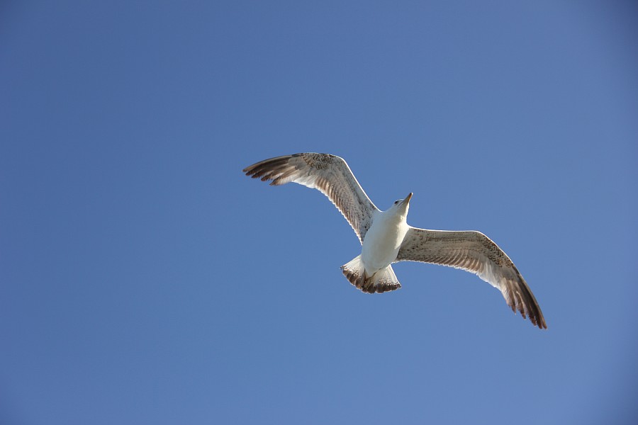 Элафониси, розовые пески, пляж, горы, море, путешествия, фотография, Аксанов Нияз, kukmor, Греция, красота, of IMG_0177