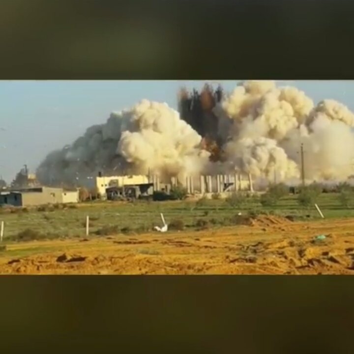 Зачистка на Синае Зачистка на Синае