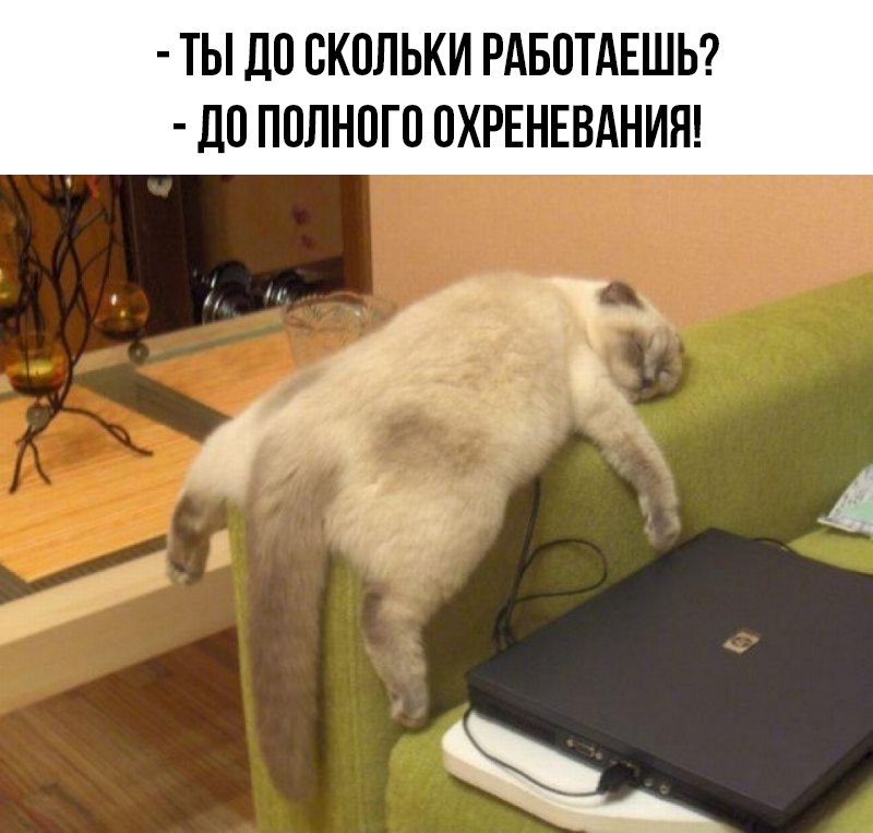 — Вы меня обманули. Оказывается, тут до моря 10 километров! — Это отлив... — Вы меня обманули. Оказывается, тут до моря 10 километров! — Это отлив...