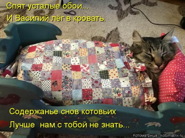 Лучшие котоматрицы недели Лучшие котоматрицы недели