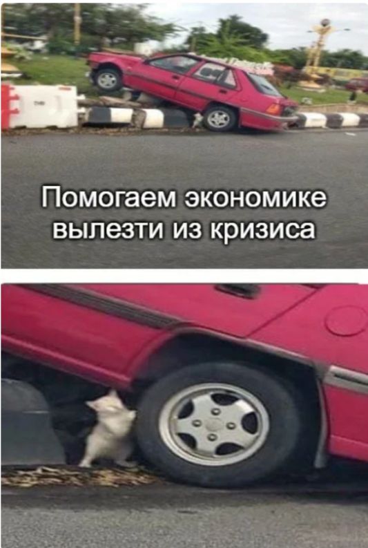 12 актуальных мемов про жизнь после карантина