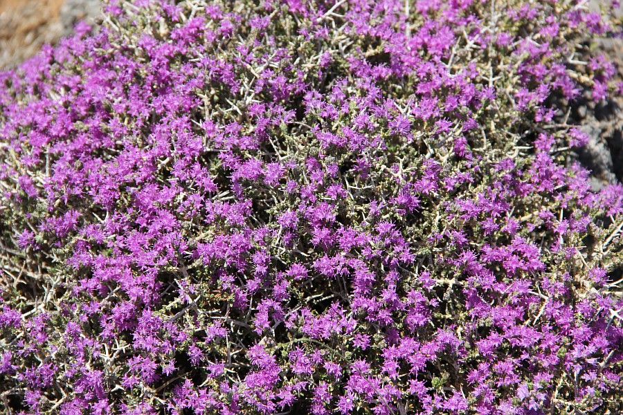 Элафониси, розовые пески, пляж, горы, море, путешествия, фотография, Аксанов Нияз, kukmor, Греция, красота, of IMG_0005