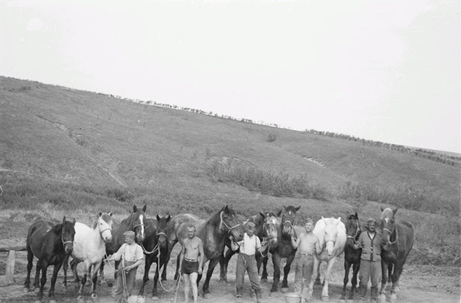 Белгородской области 1943 года в объективе рядового вермахта