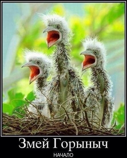 Нам всё врут! Человек произошел от медведя! Нам всё врут! Человек произошел от медведя!