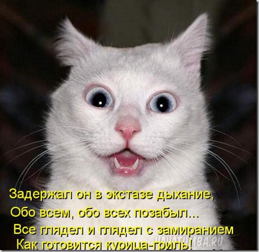 9c69f713c9b2283ef0a9cb0a663_prev