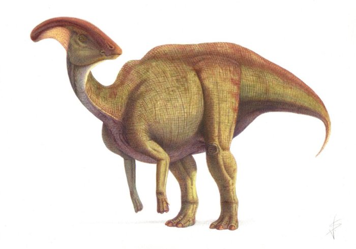 Примерно так выглядел гадрозавр. /Фото:dinohistory.ru Самые удивительные находки, которые оказались динозаврами: От «воробушков» до древних гигантов