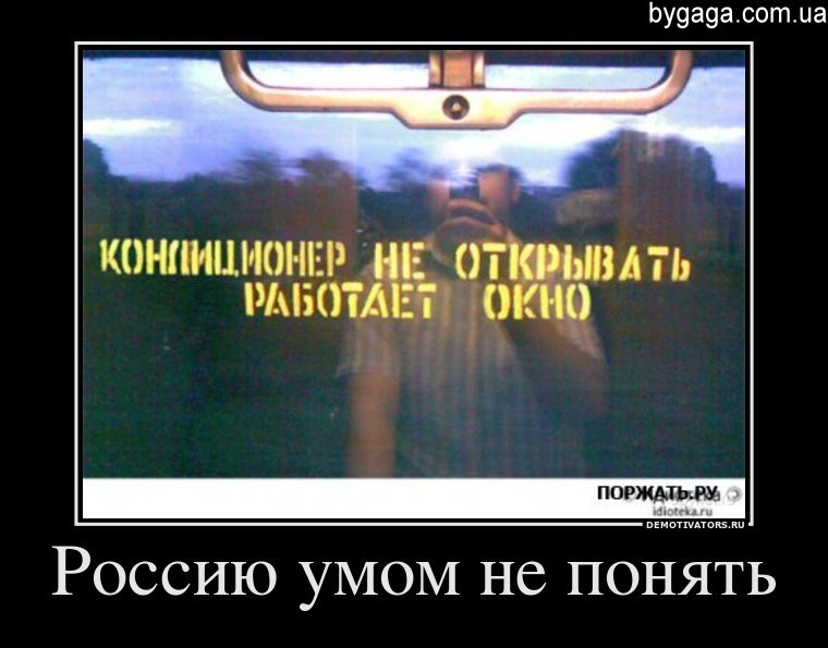 Взялся бы за ум, но времени нет — еле успеваю глупости делать