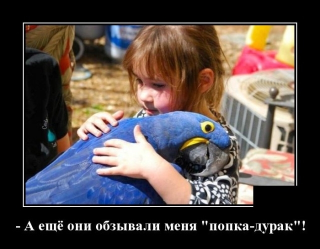 Демотиваторы Демотиваторы