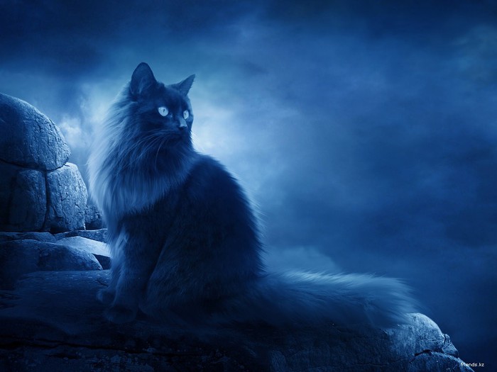 4278666_1310702806_16 (700x525, 54Kb)