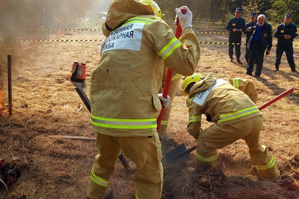 В Калининградской области выбрали лучших лесных пожарных