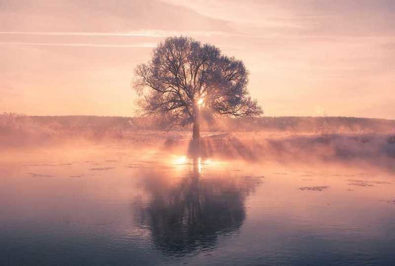 Сказочная красота Белоруссии зимой в фотографиях Алексея Угальникова зима, прекрасное, природа, фотографии