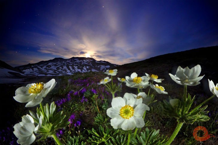 Природа России 14 Природа России 14