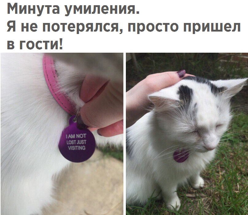 Минутка умиления. Потратьте эту минутку с пользой для настроения!)