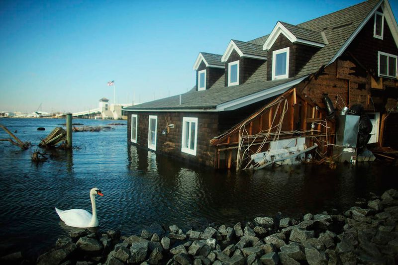 Фотоприкол фото