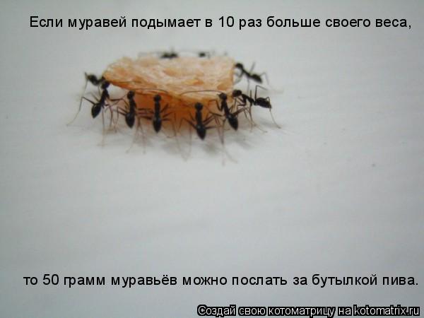 -     10    ,   50  