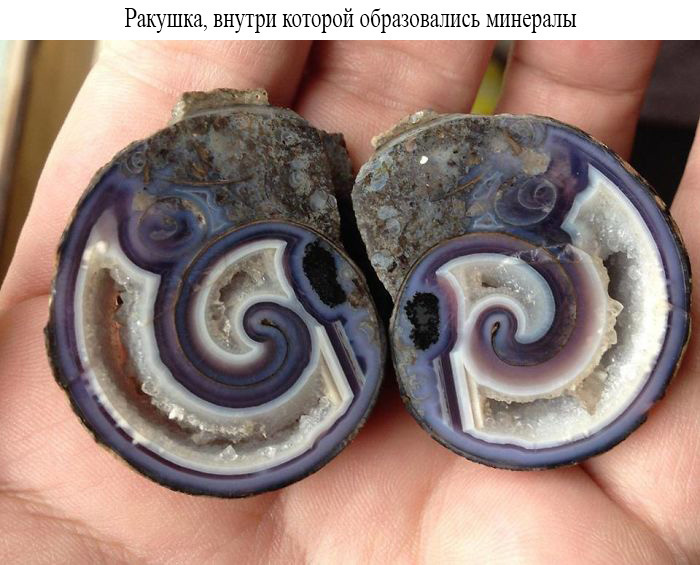 Неизвестная сторона знакомых вещей в фотографиях