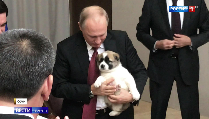 Владимир Путин на саммитах ЕАЭС и СНГ: все прошло на высоте! Владимир Путин на саммитах ЕАЭС и СНГ: все прошло на высоте!