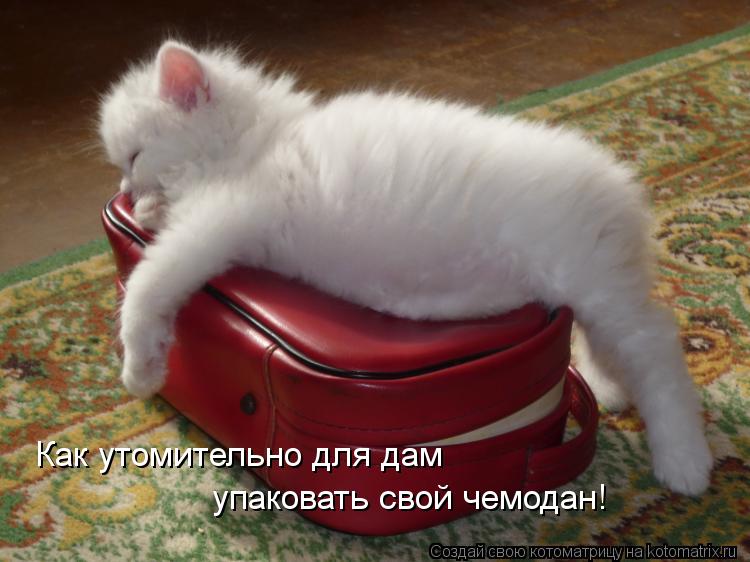  -       !