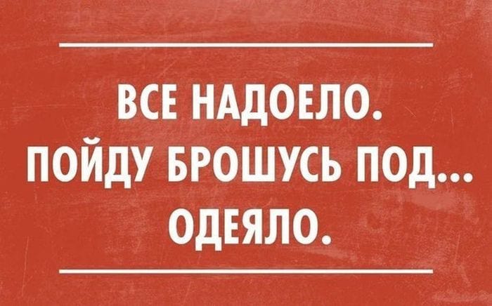 15 жизненных историй, которые создадут шикарное настроение. Попробуйте не засмеяться! 15 жизненных историй, которые создадут шикарное настроение. Попробуйте не засмеяться!