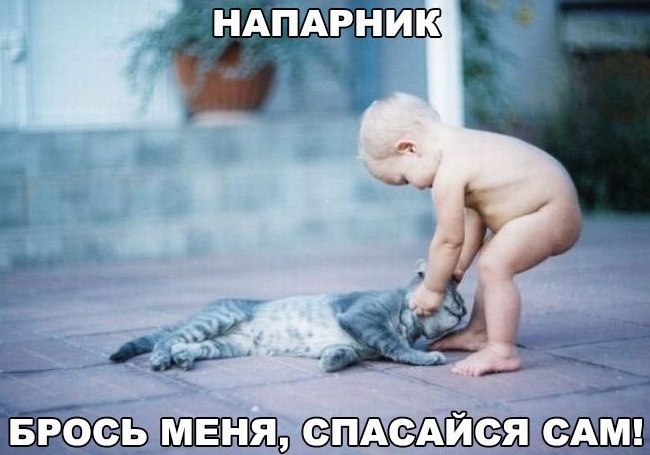 ВЕСЕЛЫЕ И ПОЗИТИВНЫЕ КАРТИНКИ С НАДПИСЬЮ ДЛЯ ХОРОШЕГО НАСТРОЕНИЯ ВЕСЕЛЫЕ И ПОЗИТИВНЫЕ КАРТИНКИ С НАДПИСЬЮ ДЛЯ ХОРОШЕГО НАСТРОЕНИЯ