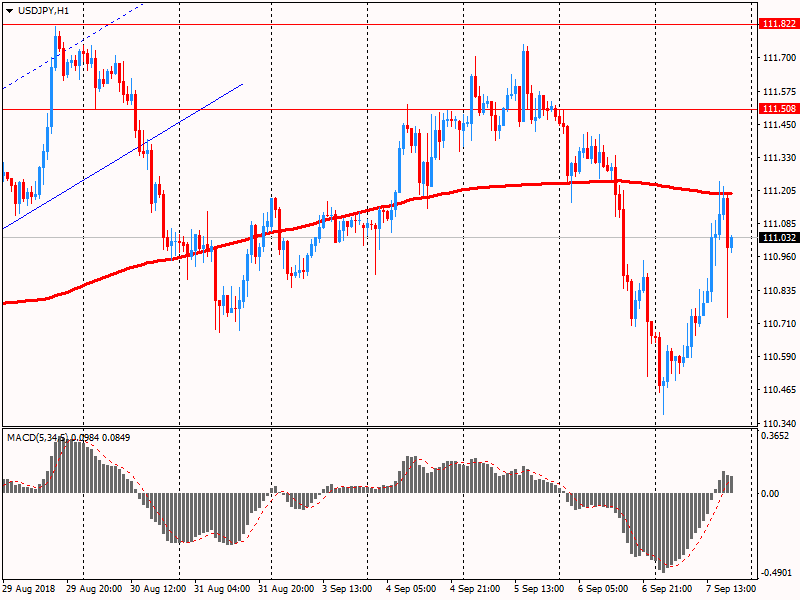 Пара USD/JPY обвалилась на 50 пкт на фоне заявлений Трампа, которые обусловили резкое усиление бегства от риска на рынках, ударив также по фондовым рынкам. В настоящий момент пара USD/JPY торгуется на уровне Y111.03